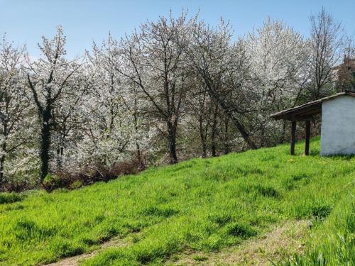 Apkārtne, La Casa del Bricco in Lequio Tanaro