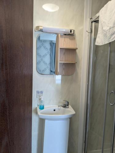 Birchhouse - image 4