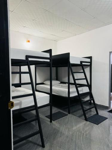 Hello Aliya Hostel
