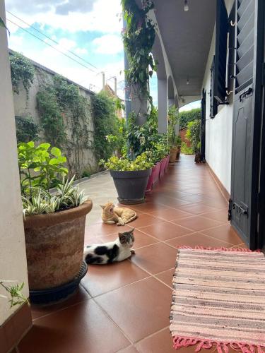 Two-Bedroom Apartment with Garden View image 2