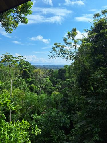 Corcovado Private Houses-Villas-Tents-pool-bar-rest Corcovado Private Houses-Villas-Tents-pool-bar-rest