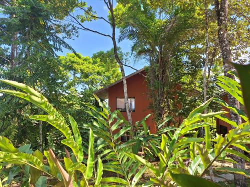 Corcovado Private Houses-Villas-Tents-pool-bar-rest Corcovado Private Houses-Villas-Tents-pool-bar-rest