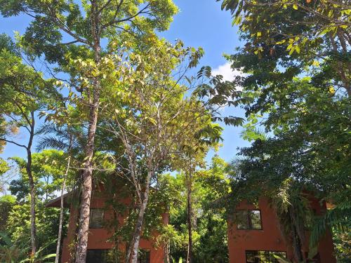 Corcovado Private Houses-Villas-Tents-pool-bar-rest Corcovado Private Houses-Villas-Tents-pool-bar-rest