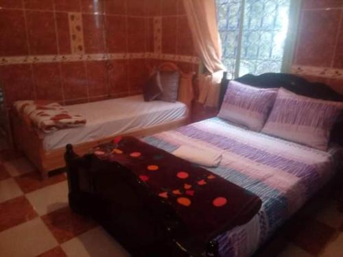 La source bleue La source bleue