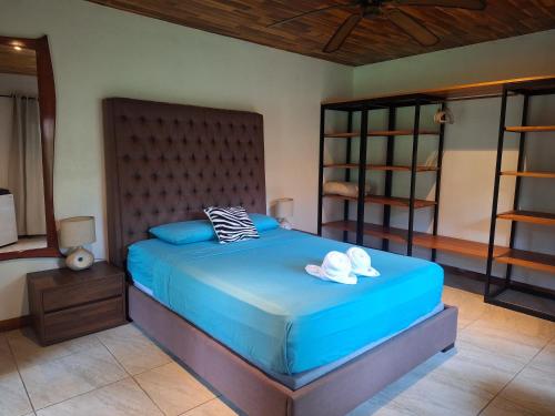 Corcovado Private Houses-Villas-Tents-pool-bar-rest Corcovado Private Houses-Villas-Tents-pool-bar-rest