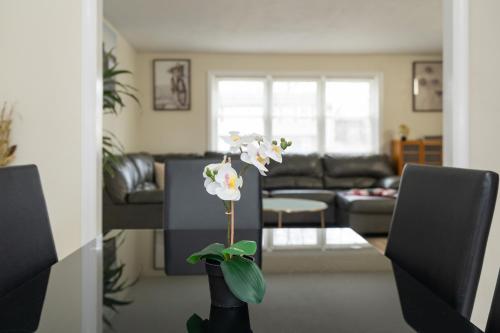 65 - 5BR Randolph - Elegant Haven near Dog Park in แรนดอล์ฟ (MA)