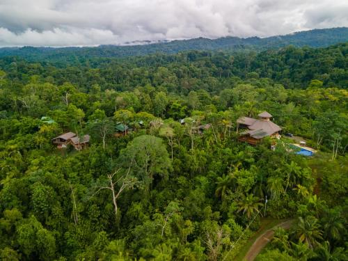 Corcovado Private Houses-Villas-Tents-pool-bar-rest Corcovado Private Houses-Villas-Tents-pool-bar-rest