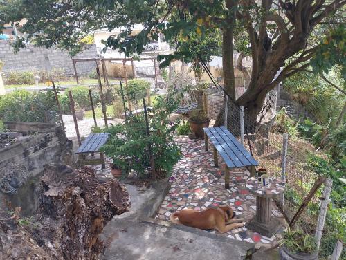 The Garifuna Retreat Villa in Kingstown