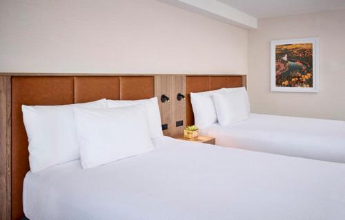 2 queen beds