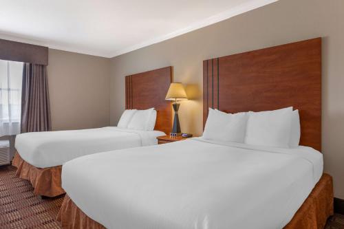 Best Western Clubhouse Inn & Suites - image 11