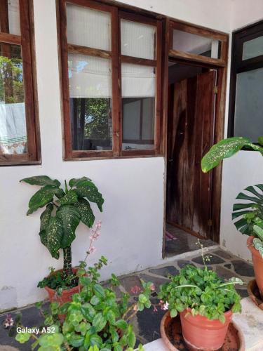 La Casa D'Alick in โคนอตลา