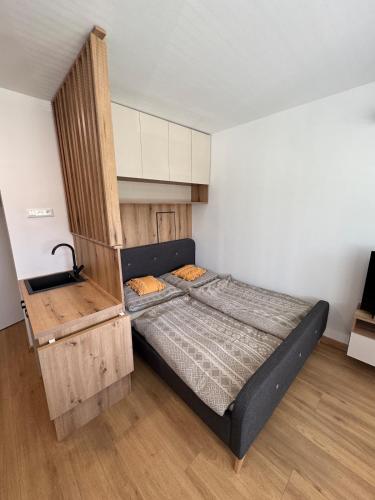 Beautiful apartment near the city center, Bratislava (Foto 4)