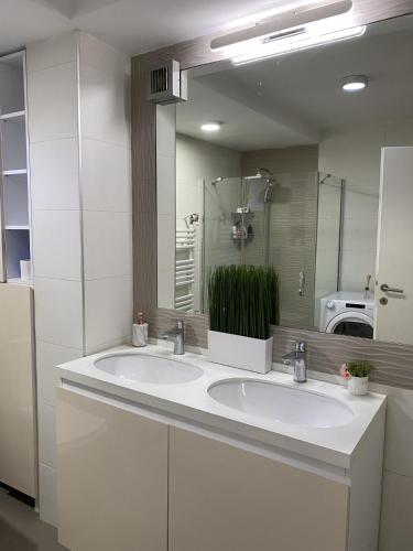 Apartment Elena, Skopje (zdjęcie 5)