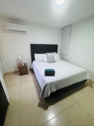 Beautiful apartment in San Juan