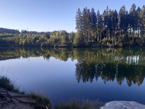 Harz-Forest-Inn in 哈恩克利博克斯維斯