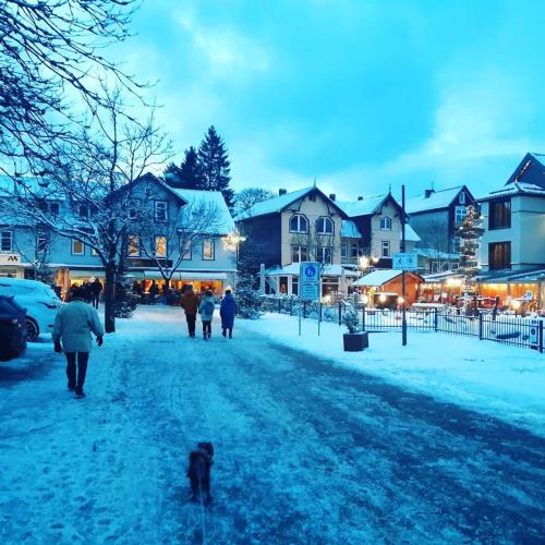 Harz-Forest-Inn in 哈恩克利博克斯維斯