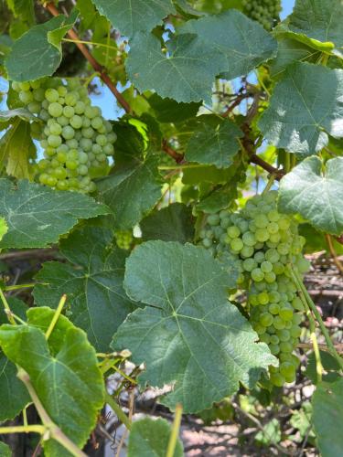 Pool Front Romantic Getaway withPrivate Entry