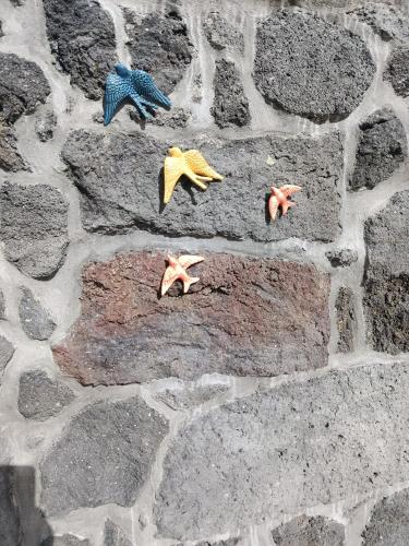 Casa Terra & Mar in อูร์เซลินา