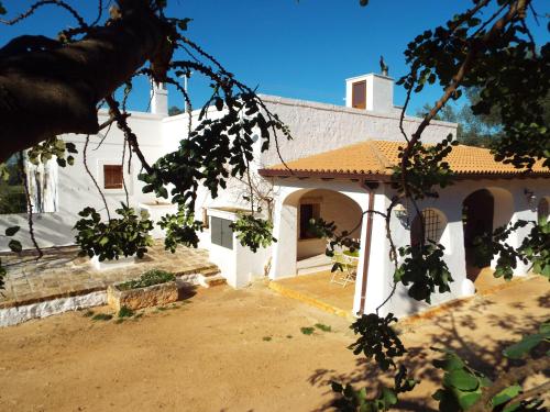  Lama di Galizia, Pension in Ostuni