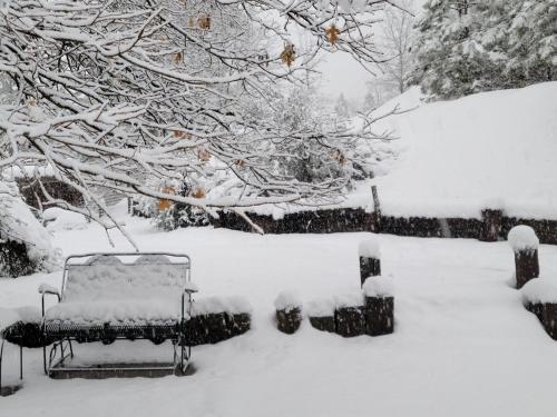 Near Yosemite Bass Lake Cabin with Hot Tub, Lake View, Pet Friendly Near Yosemite Bass Lake Cabin with Hot Tub, Lake View, Pet Friendly