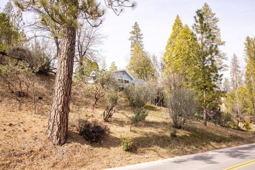 Near Yosemite Bass Lake Cabin with Hot Tub, Lake View, Pet Friendly Near Yosemite Bass Lake Cabin with Hot Tub, Lake View, Pet Friendly