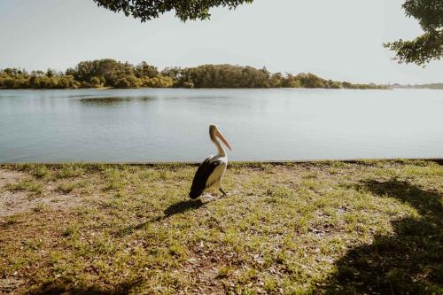 Rainbow Retreat 2 by Tiny Away