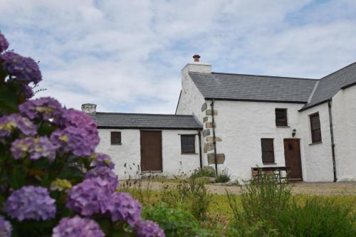 Panteurig Cottage - Mathry