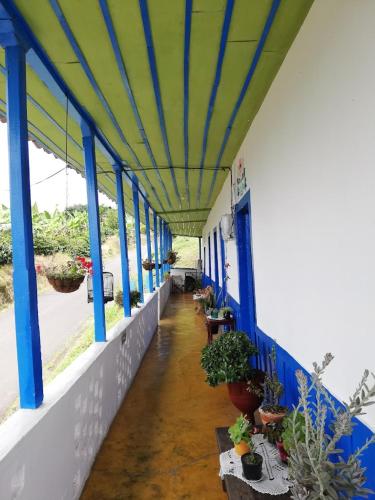 Santa Irene de Palomino - Sevilla Valle del Cauca in Sevilla
