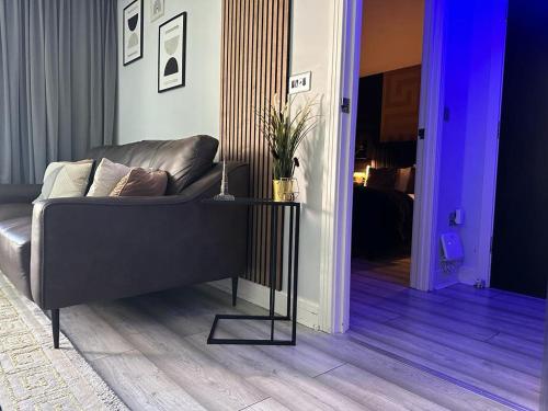 Unique Penthouse with Jacuzzi & Garden, Birmingham (fotografie 9)