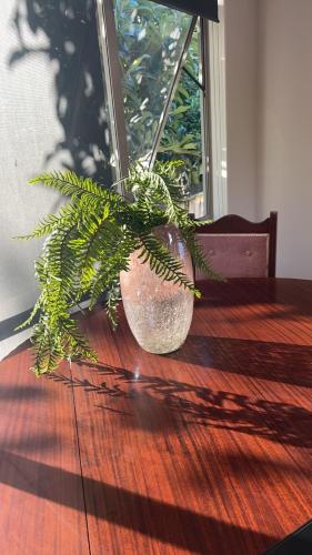 مطبخ, Cozy Corner in هوويك