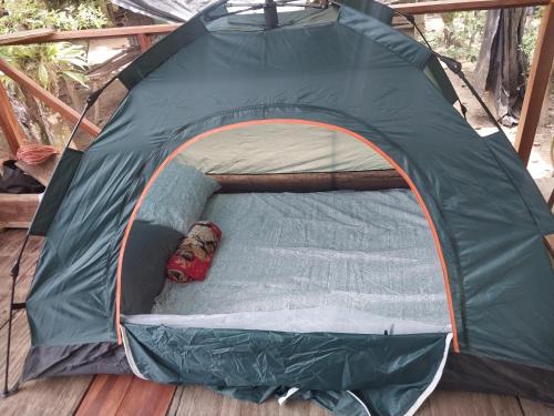 Apo-Experience Ecoturismo Talamanca in Hone Creek