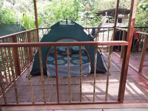 Apo-Experience Ecoturismo Talamanca in Hone Creek