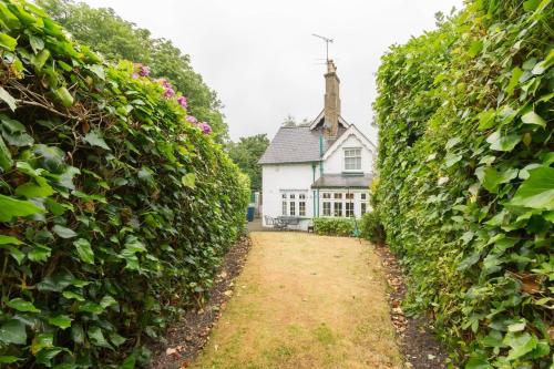 Holiday Home of the Month! Finchley, Sleeps 5, London (photo 9)