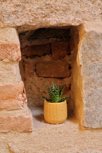 Kallisté - image 13