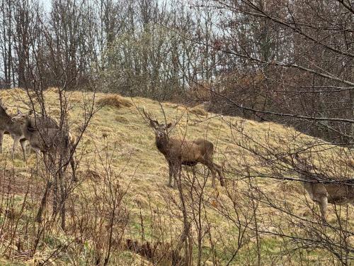 Auberge Le Couchetat - image 10
