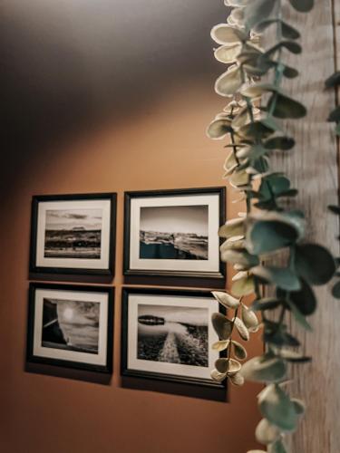 Guesthouse Reynir 5
