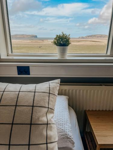 Guesthouse Reynir - image 11