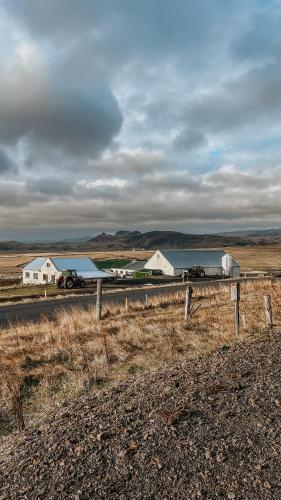 Guesthouse Reynir - image 2