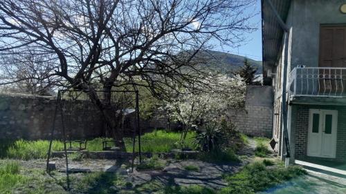 Vườn, Tehran House in Sheki