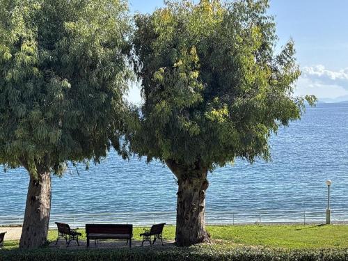 Saronic Bay Apartment