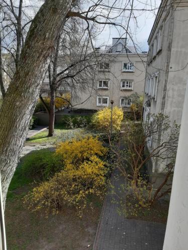 Karmel Apartment Karmel Apartment