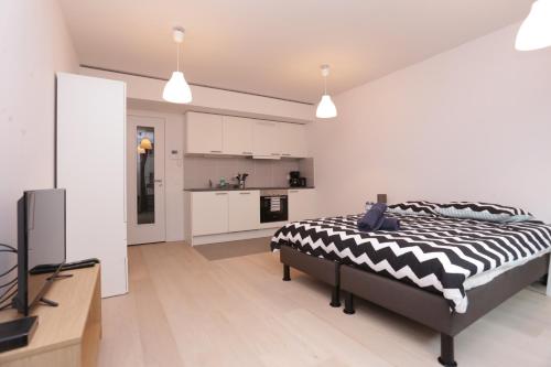 Brussels center flat near รัฐสภาสหภาพยุโรป