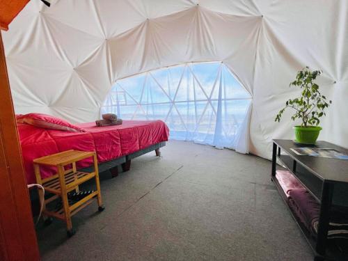 Iekārtas, Vilos Domo excepcional domo privado in Los Vilos