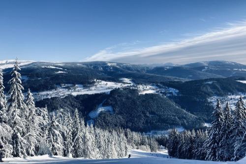 Malé Labe - ubytování v podkroví (Male Labe - ubytovani v podkrovi) in โปรเซชเน