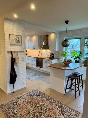 Central villa with social spaces in 博拉斯市中心