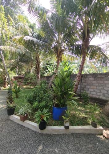 Three-Bedroom Villa image 1