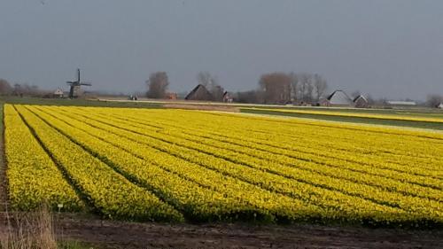 Vredehof - image 4
