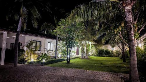 Coco Presidential Villa & Homestay - 숙소 외관