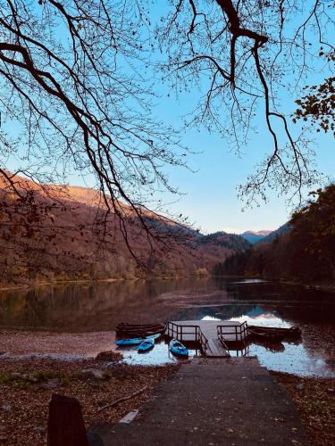 Rest&peace homes in Polja