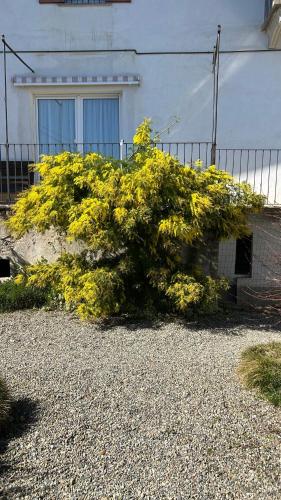 La Casa di Pietro 5